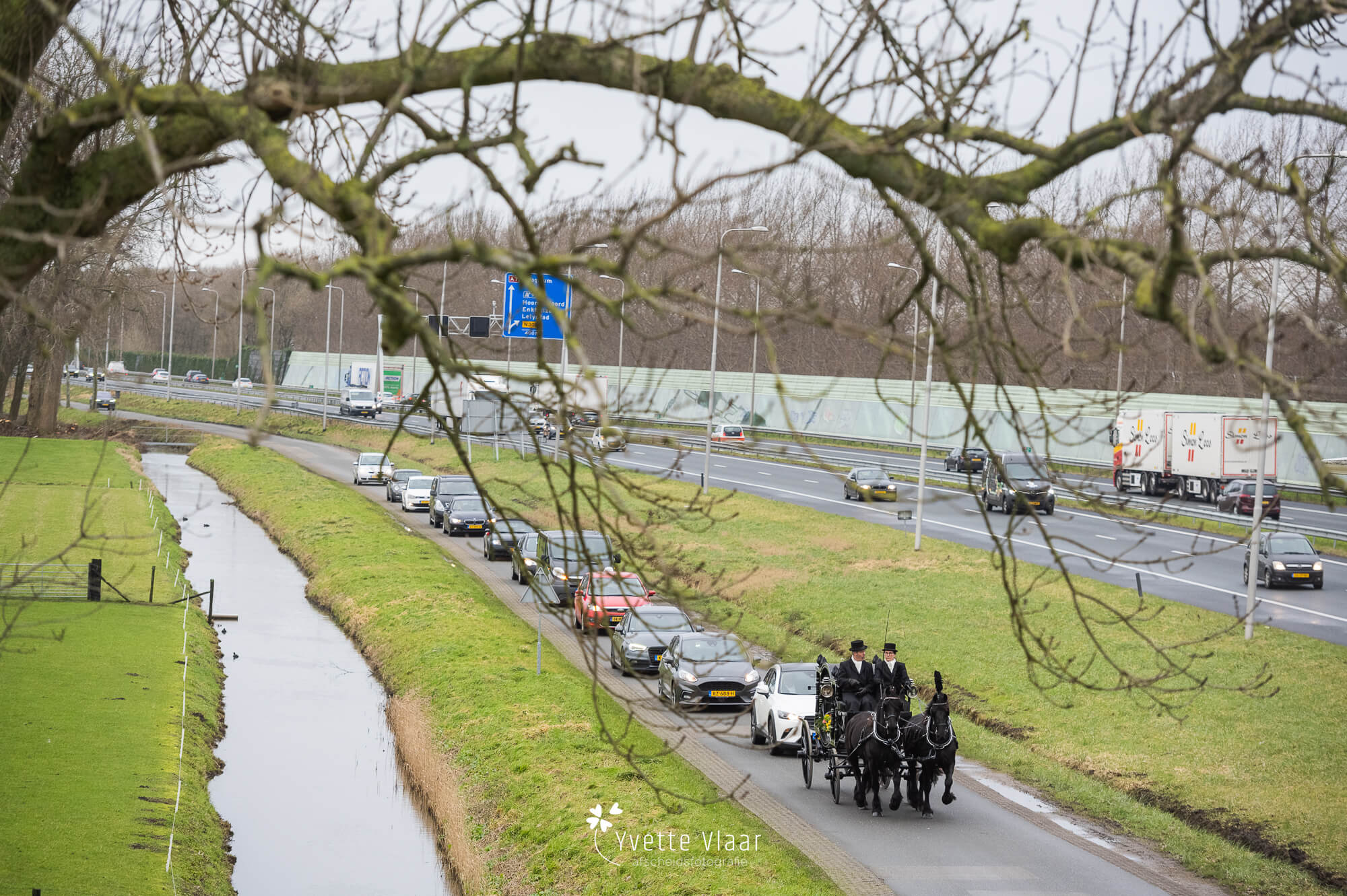 Rouwkoets-05